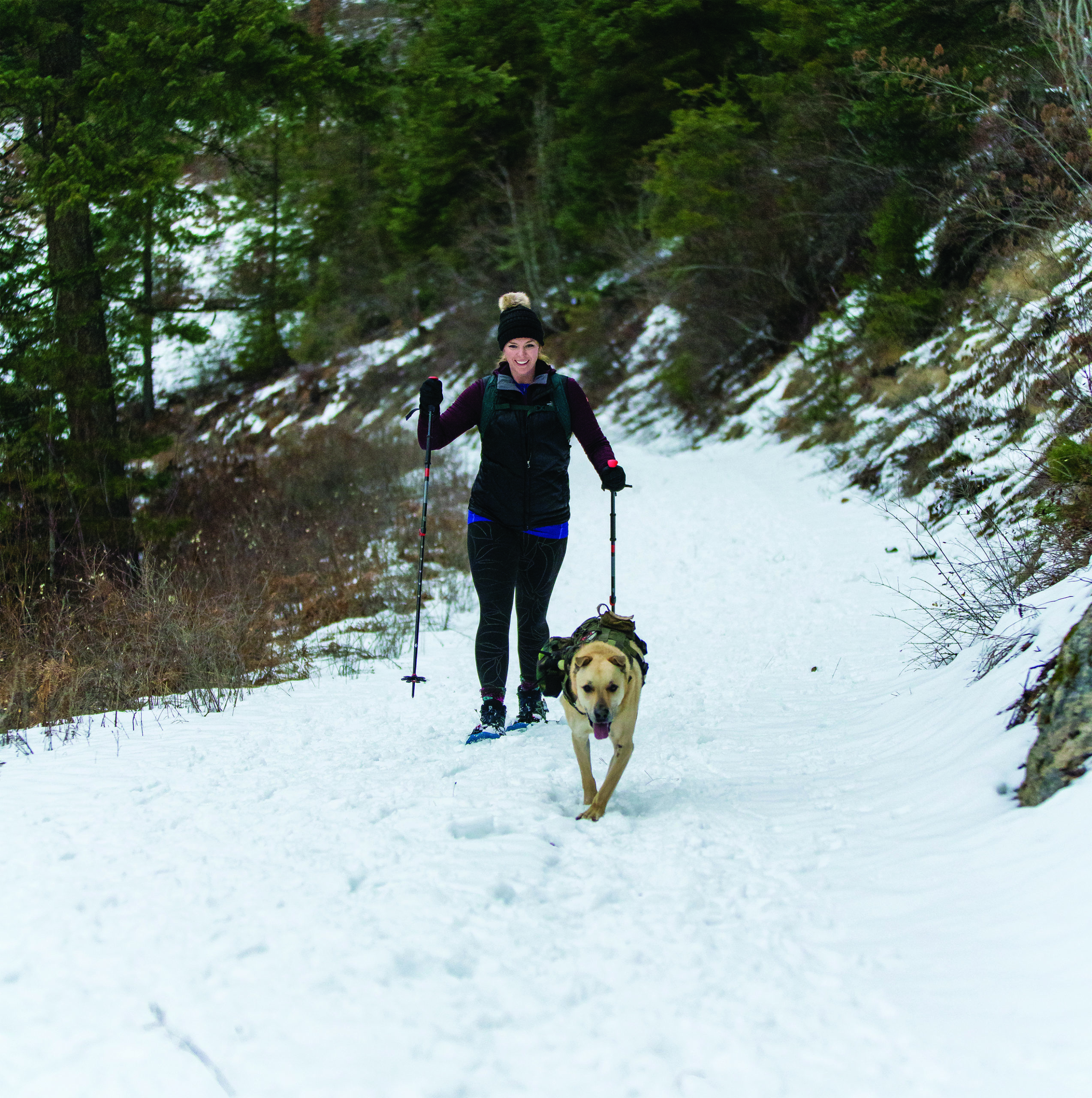 snowshoeing-with-dog